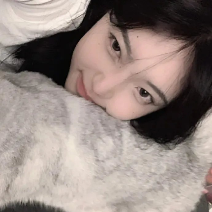 大卫贝肯之倒霉特工熊